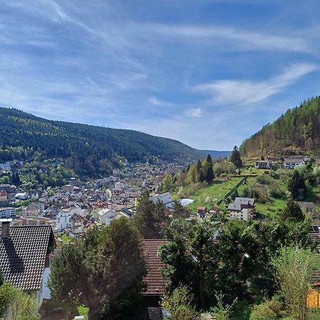 Ferienwohnung Panoramablick Bad Wildbad Kültér fotó
