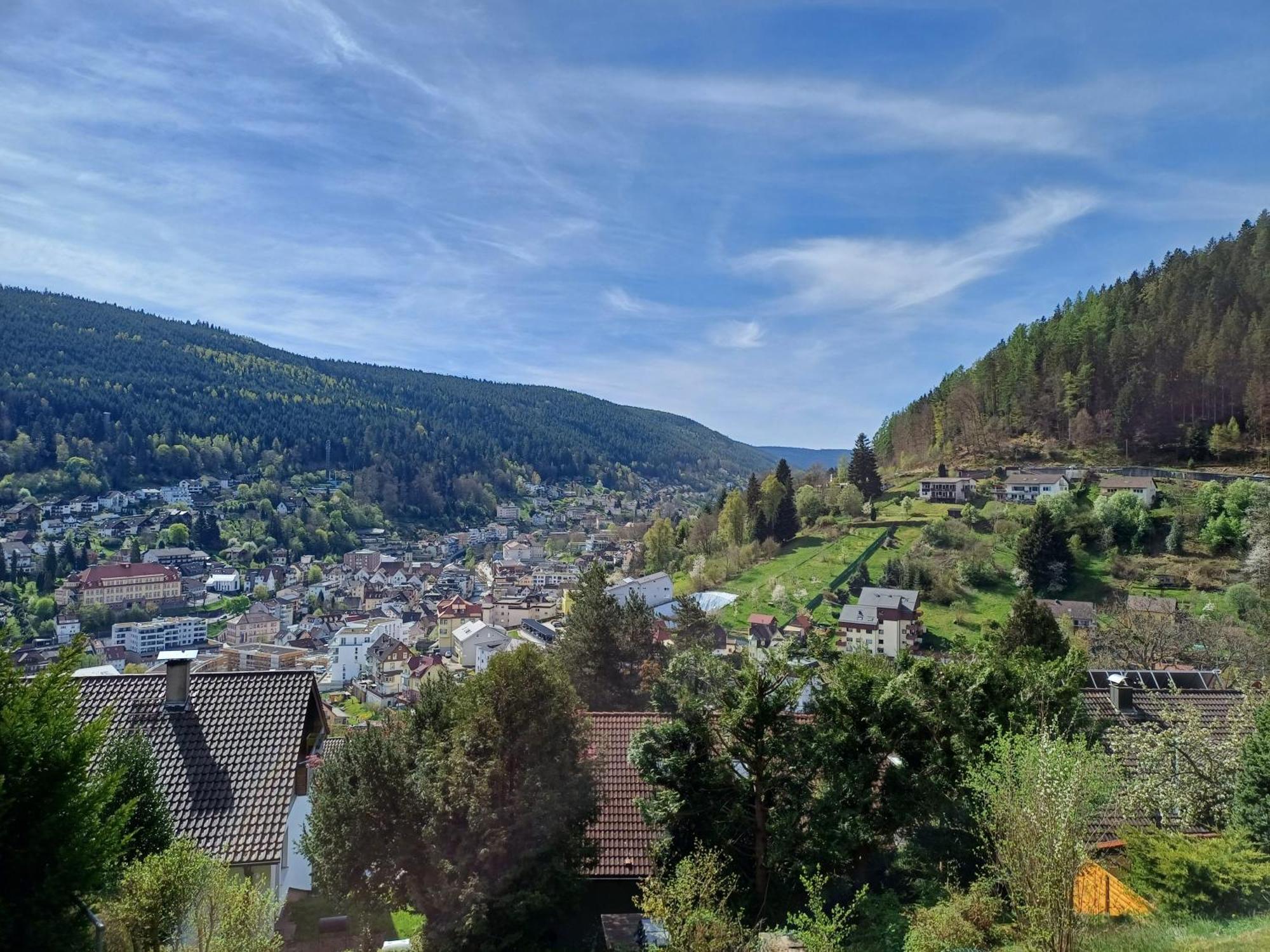 Ferienwohnung Panoramablick Bad Wildbad Kültér fotó