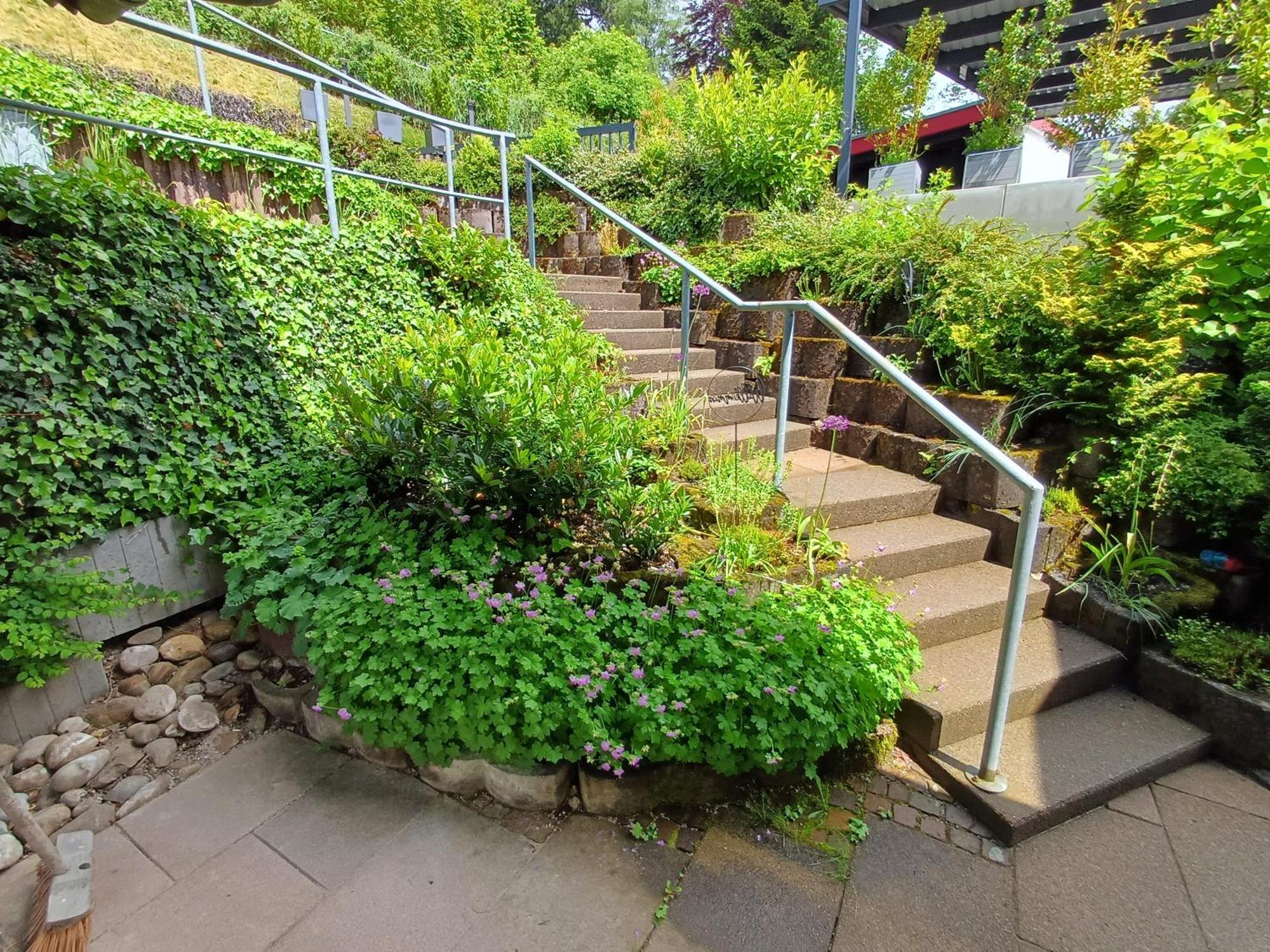 Ferienwohnung Panoramablick Bad Wildbad Kültér fotó