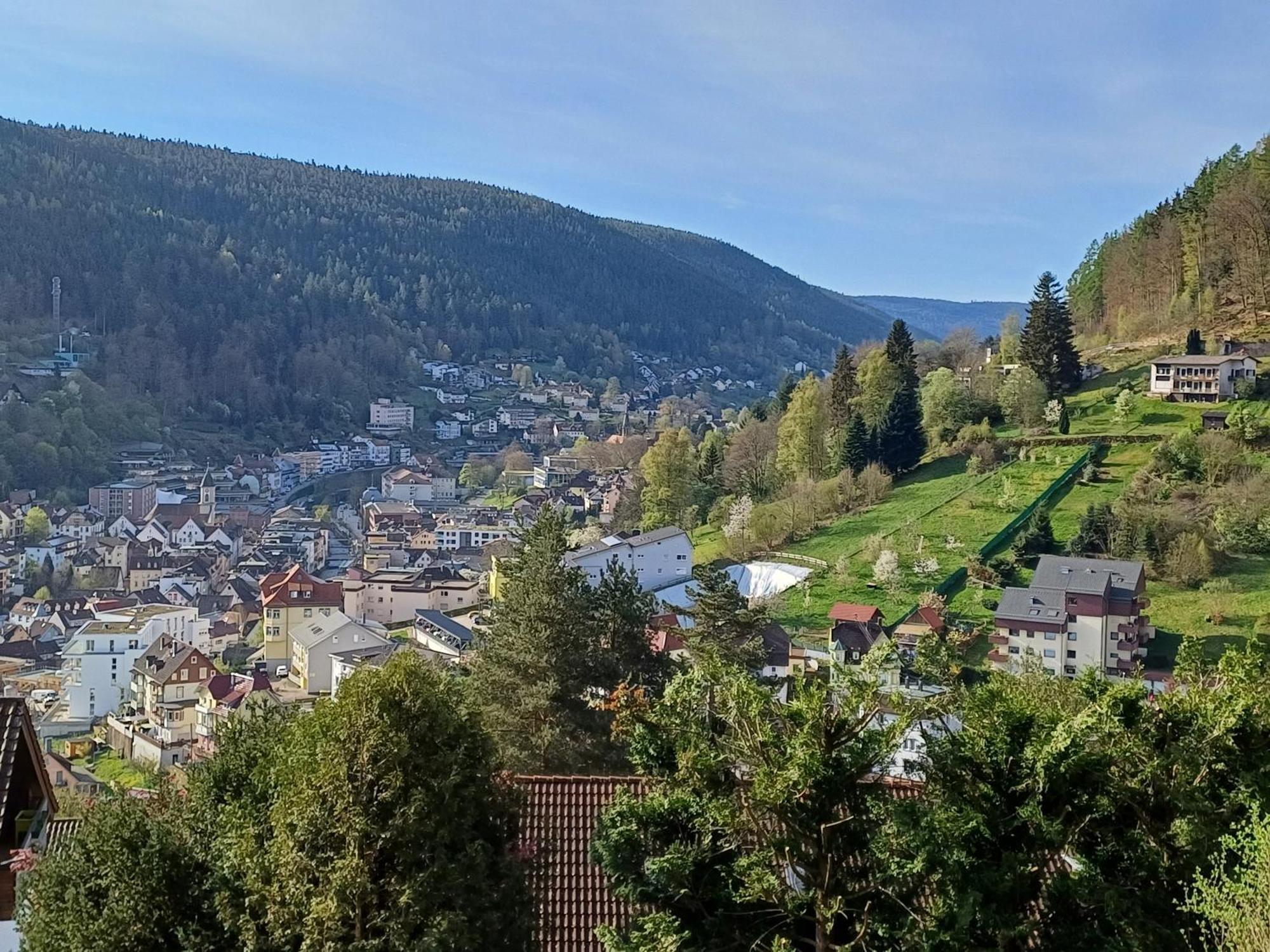 Ferienwohnung Panoramablick Bad Wildbad Kültér fotó